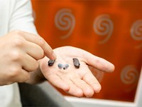 ¿Cómo se limpian los audífonos?